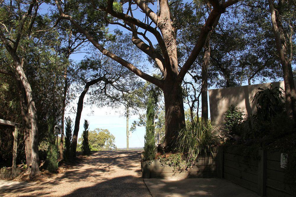 Arabella Guesthouse Alexandra Headland Eksteriør bilde