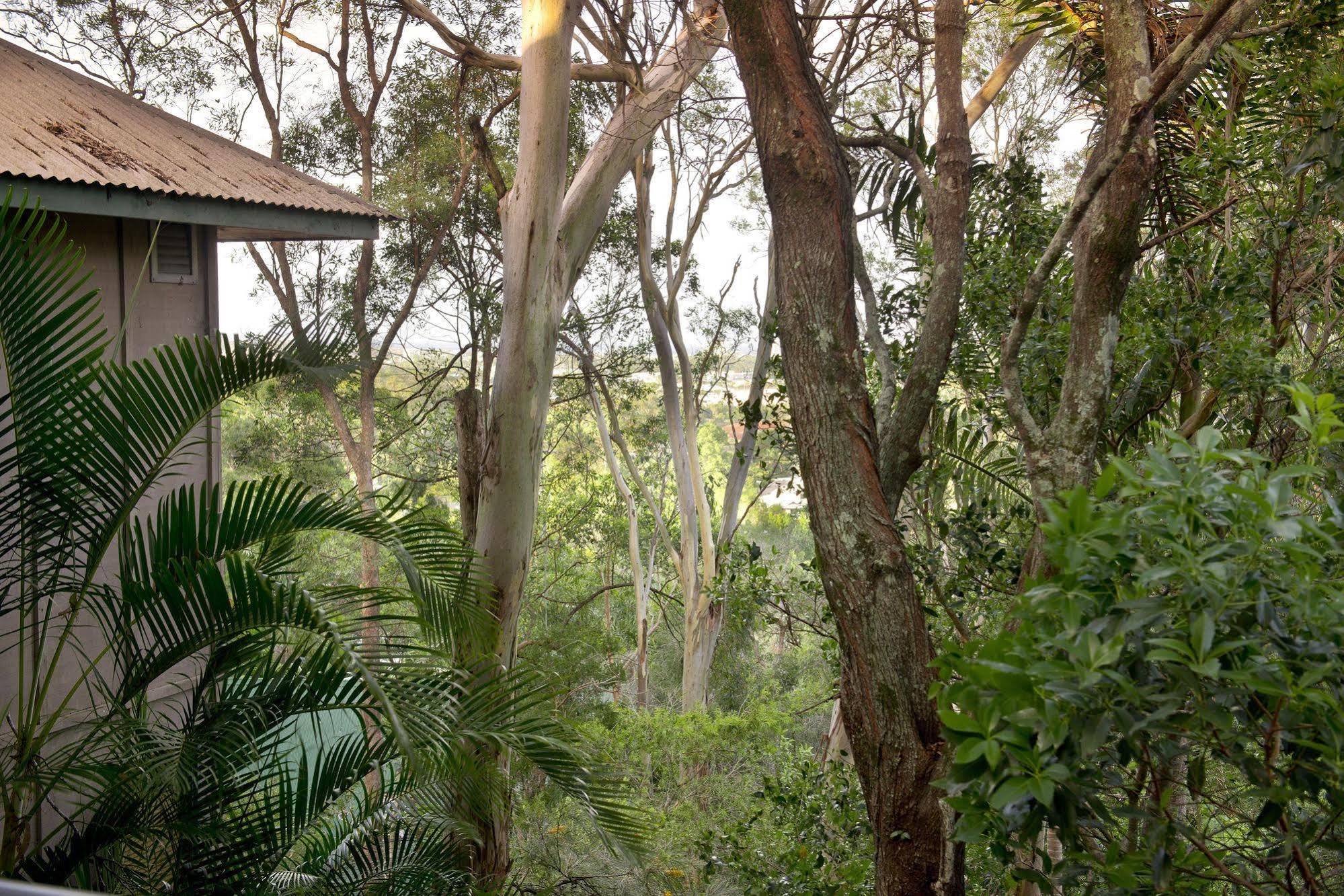 Arabella Guesthouse Alexandra Headland Eksteriør bilde